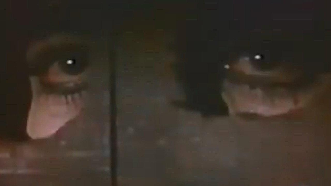 Infernal Death 1992 movie scene