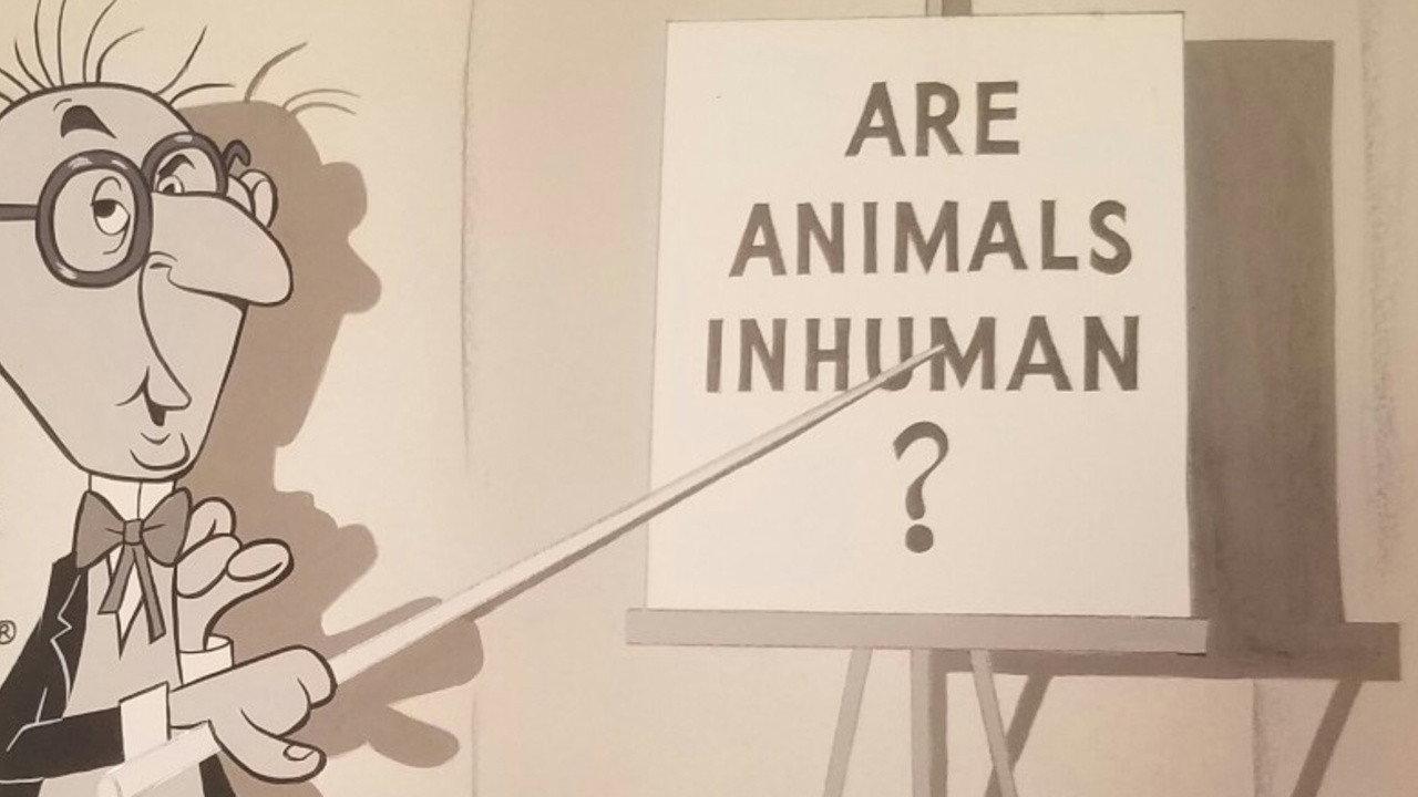 Unnatural History 1959 movie scene