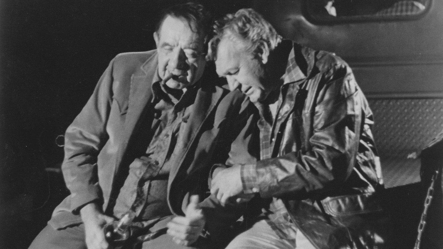 The Wild McCullochs 1975 movie scene