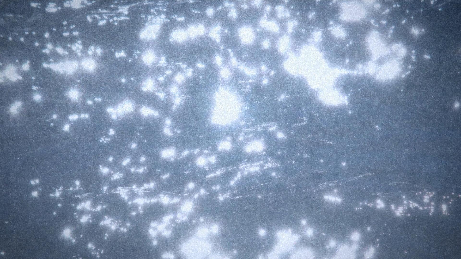Microcosmos 2022 movie scene