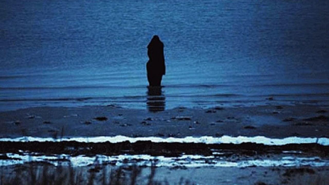 Steven Wilson: Catalogue / Preserve / Amass 2026 movie scene