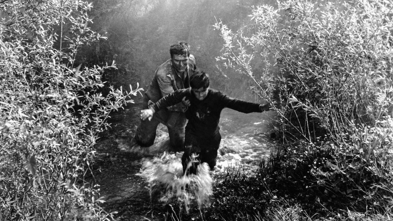Don't Look Back, My Son 1956 movie scene