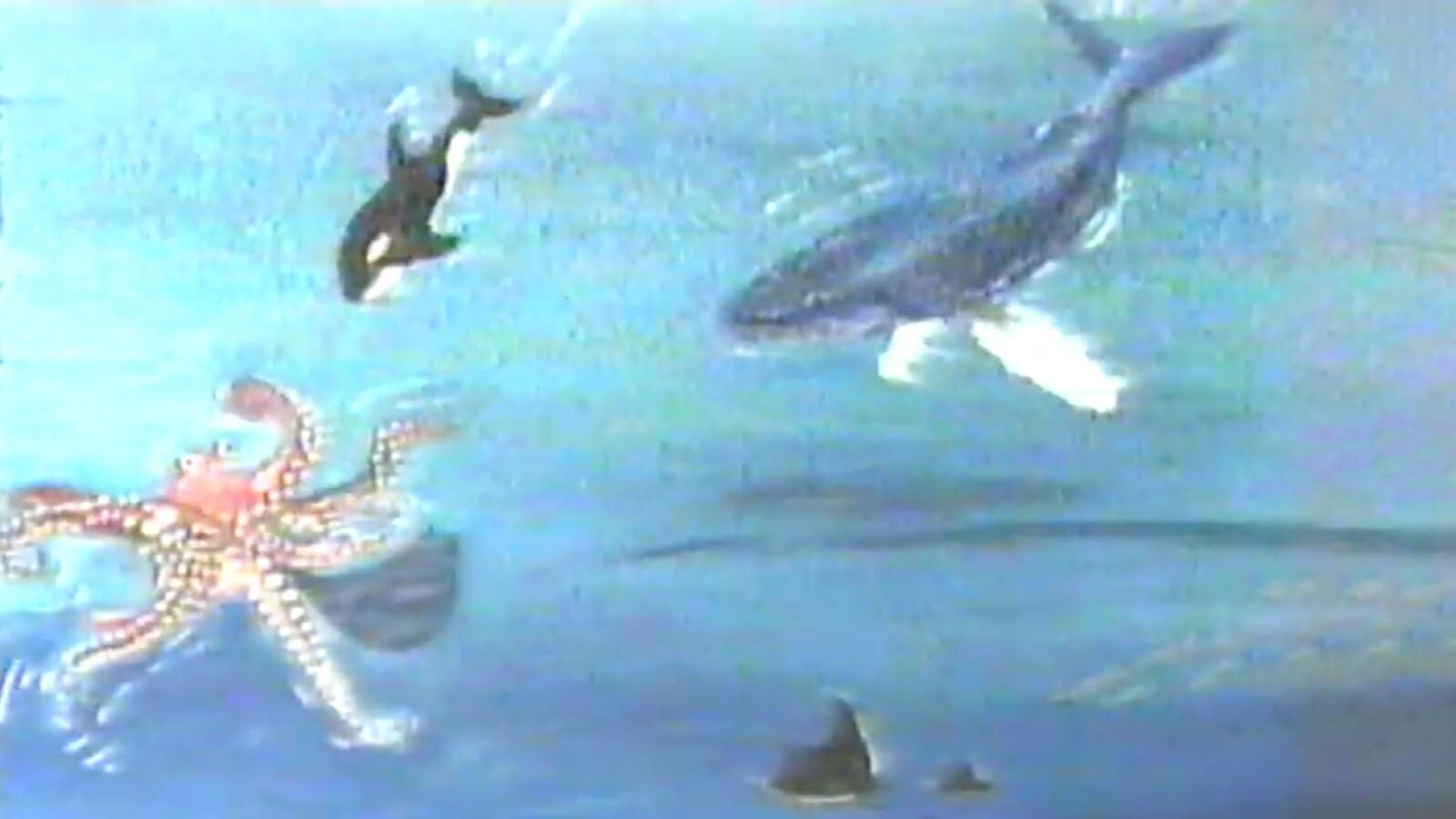 Hampie - A Little Whale Discovers His World 1994 movie scene