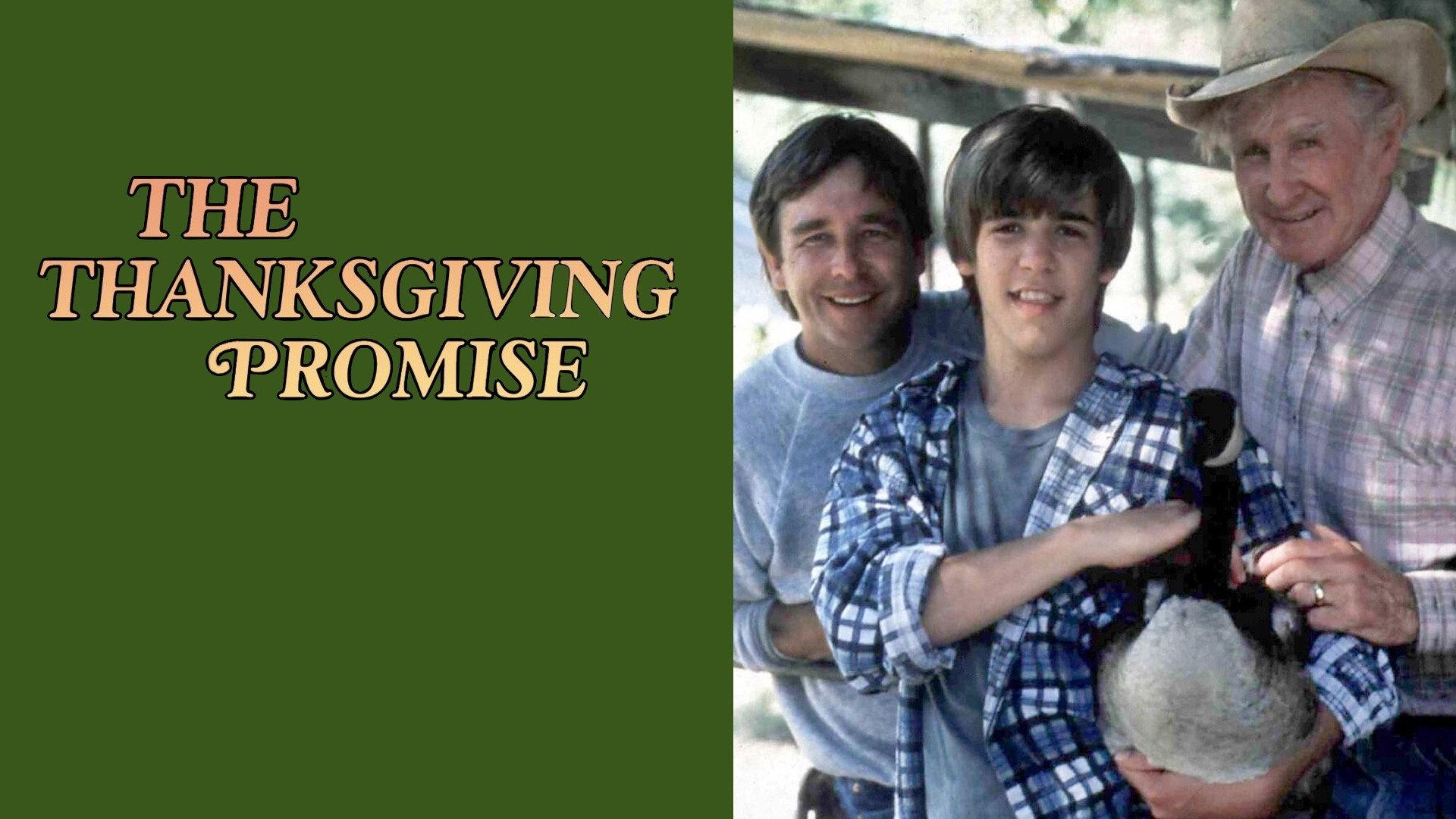 The Thanksgiving Promise 1986 movie scene