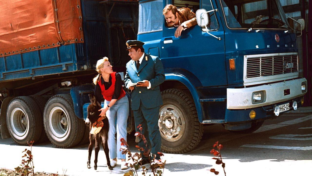 How Do You Feed A Donkey? 1974 movie scene