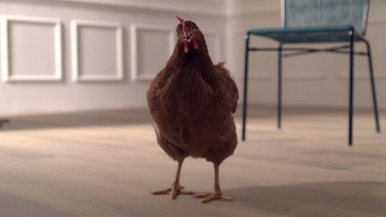 The Eye of the Hen 2024 movie scene