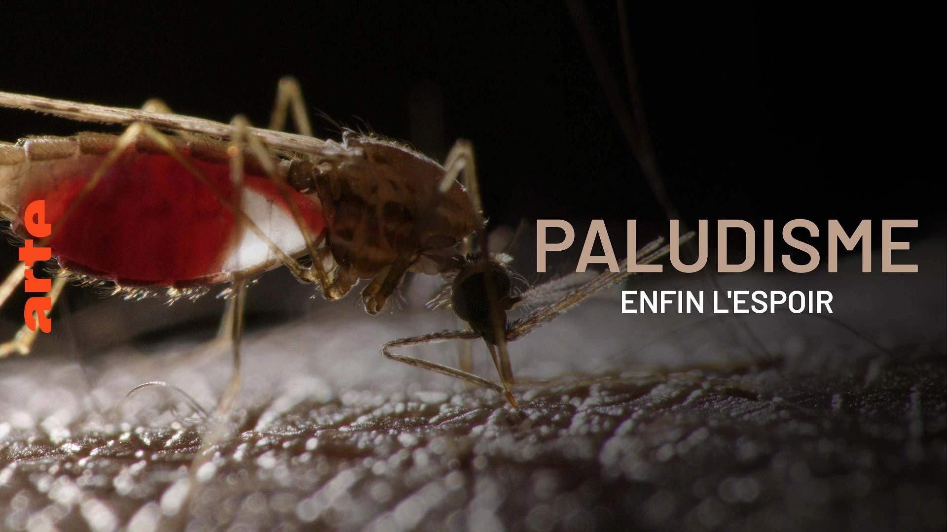 Paludisme, enfin l'espoir 2024 movie scene