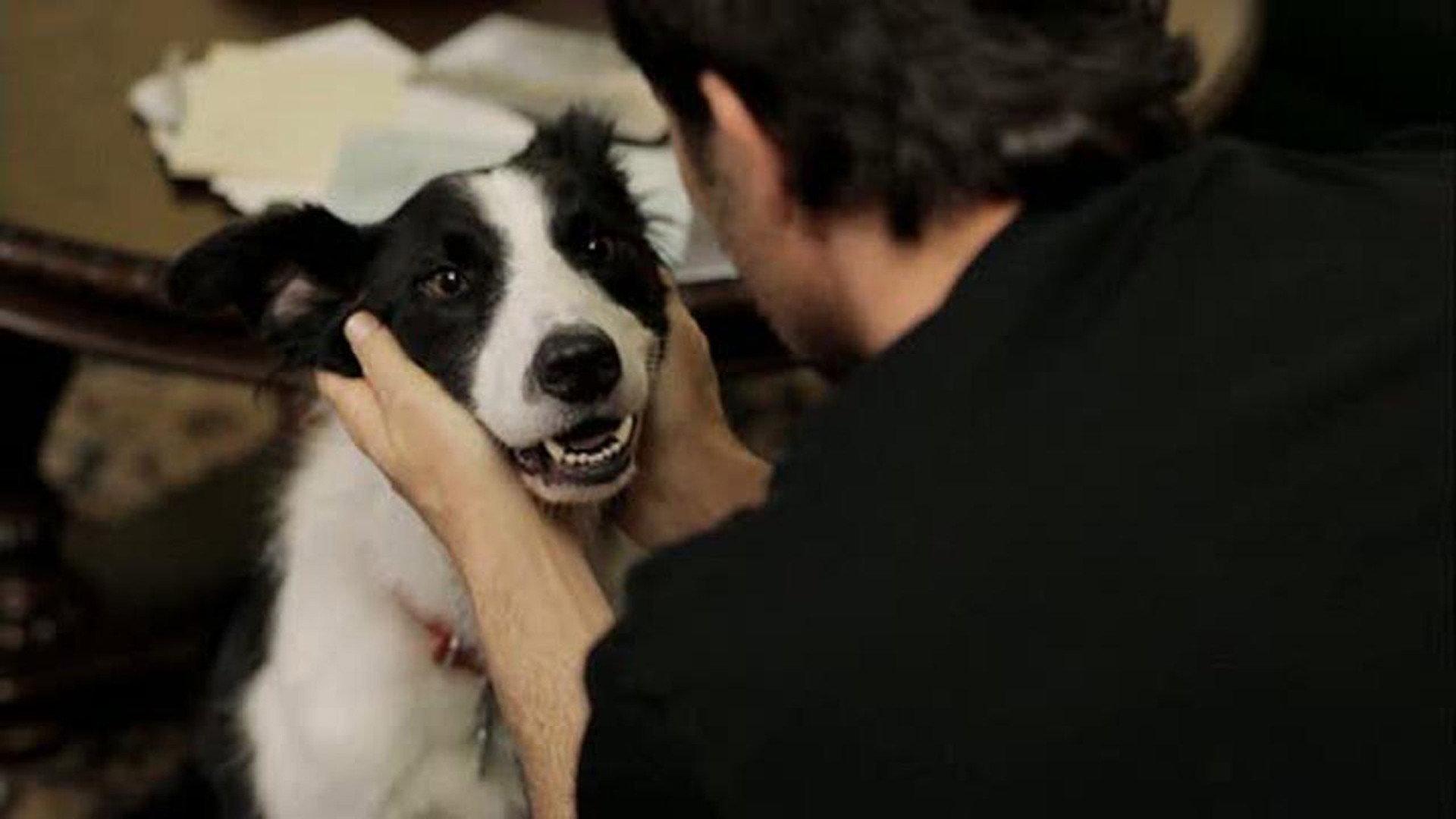 Angel Dog 2011 movie scene