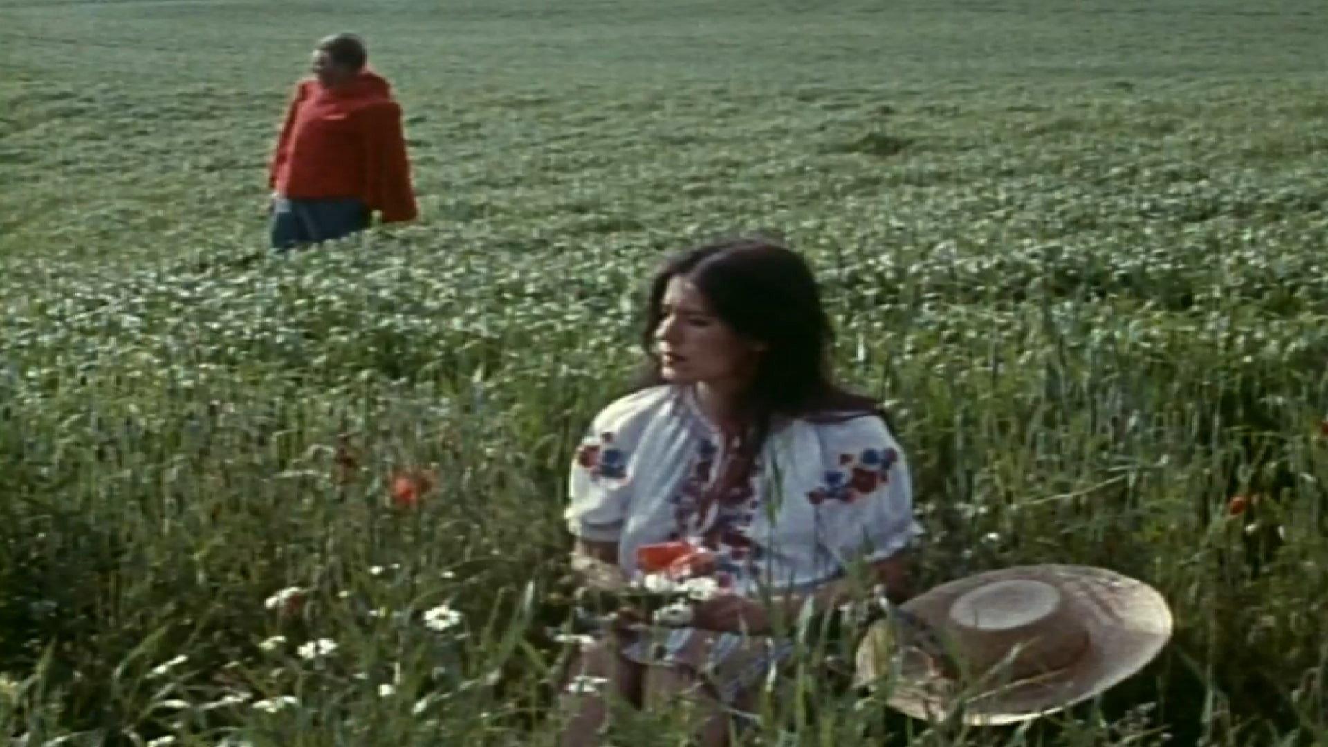 The Executioner 1973 movie scene