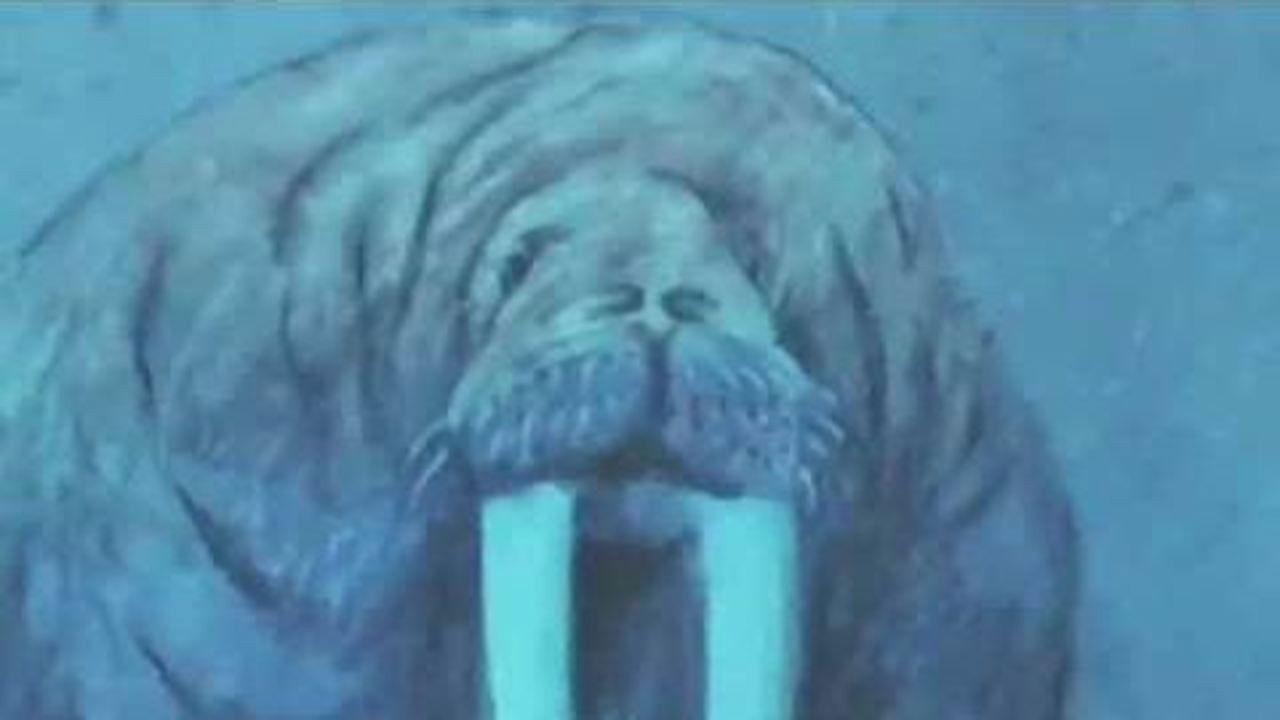 The Mighty River 1993 movie scene