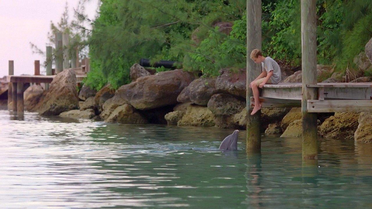Dolphin Kick 2019 movie scene