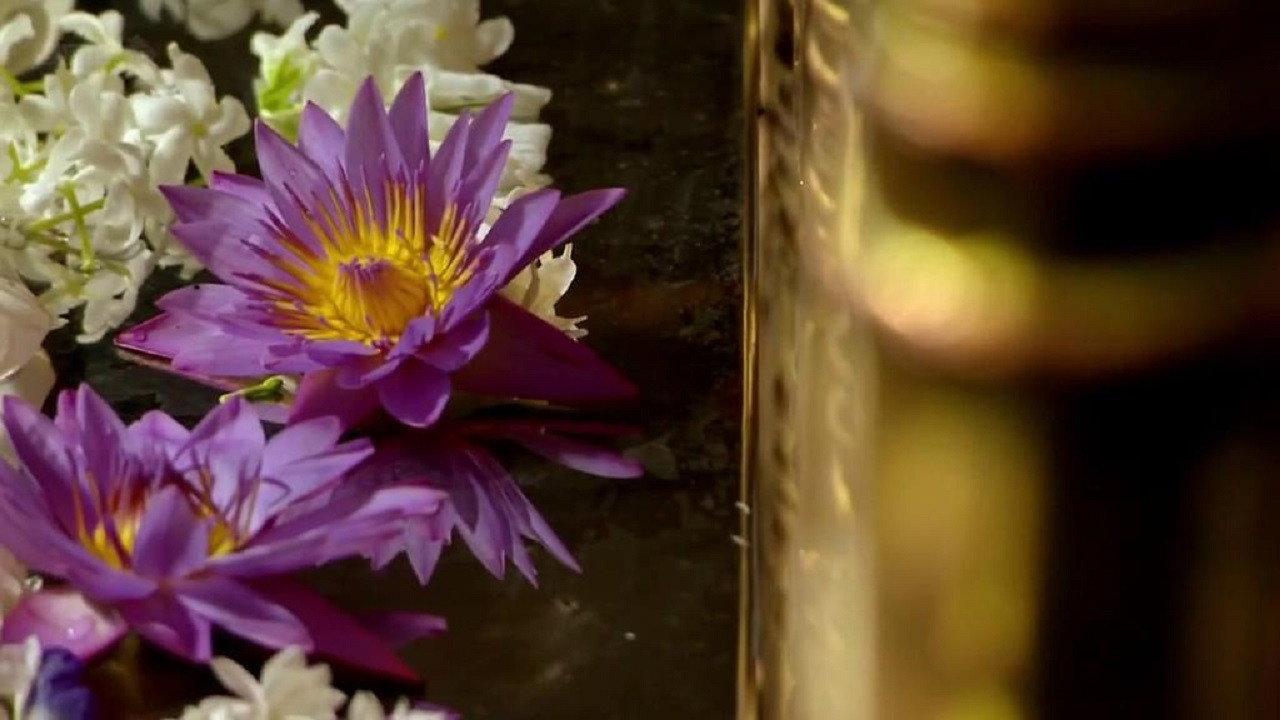Seven Wonders of the Buddhist World 2011 movie scene