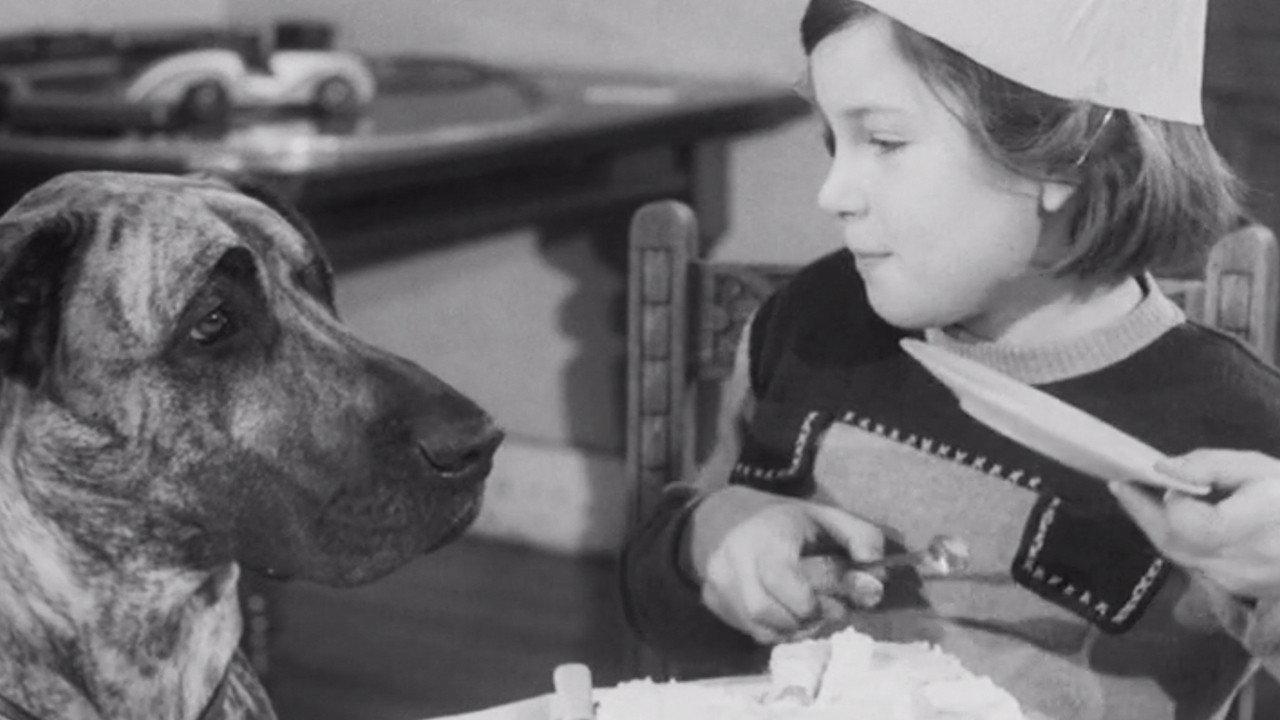 Juno Helps Out 1953 movie scene