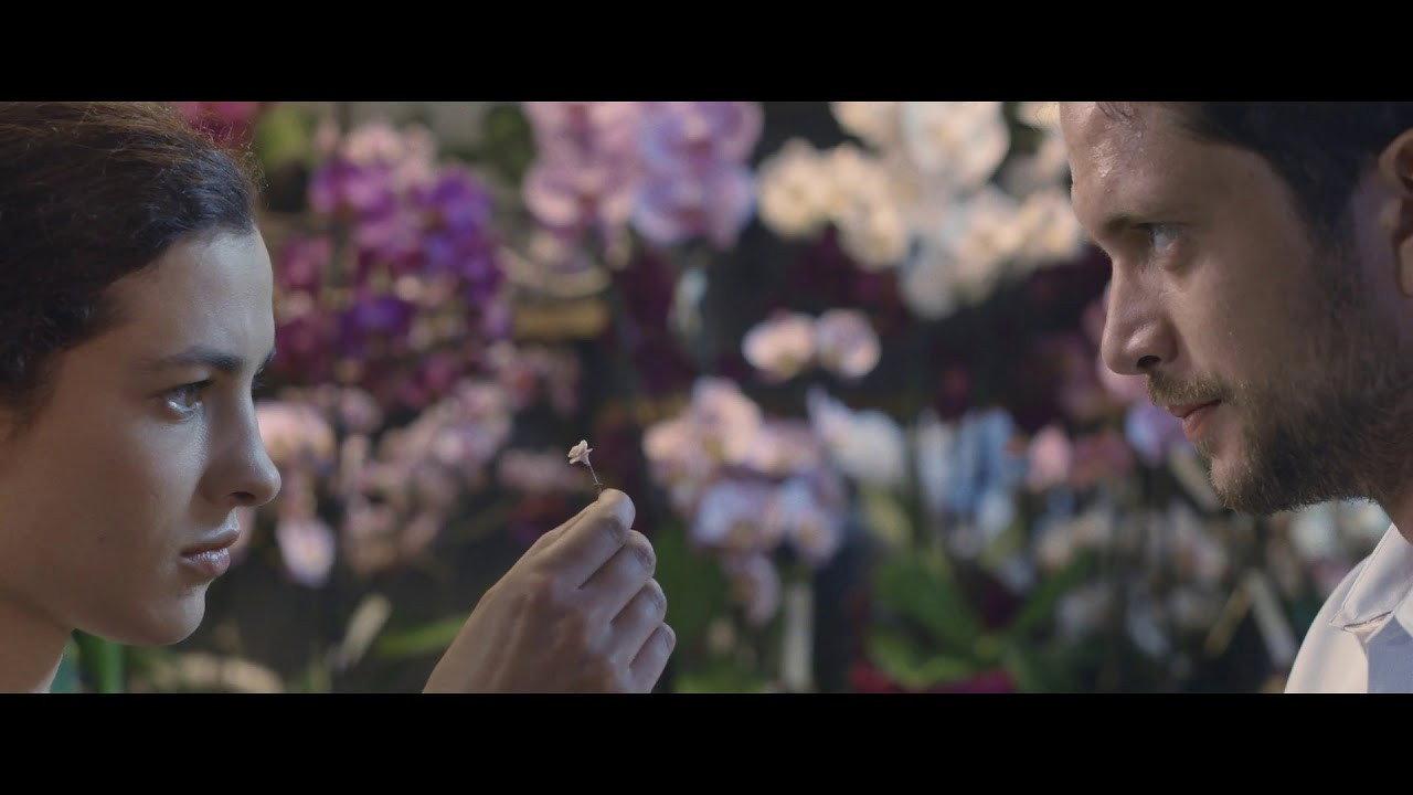 The Infinite Garden 2017 movie scene