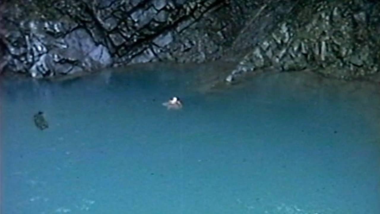 Axolotl Wooper Looper’s Lair 1987 movie scene