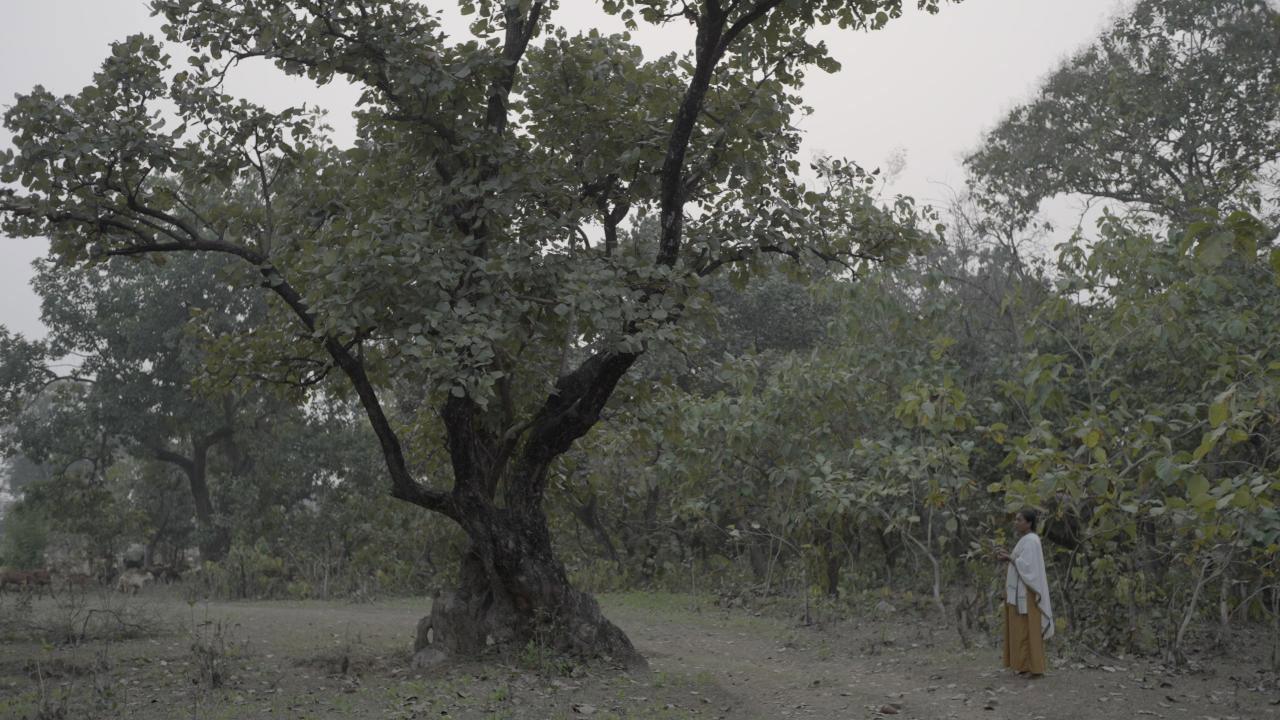 Green Is the Fire's Tint  movie scene
