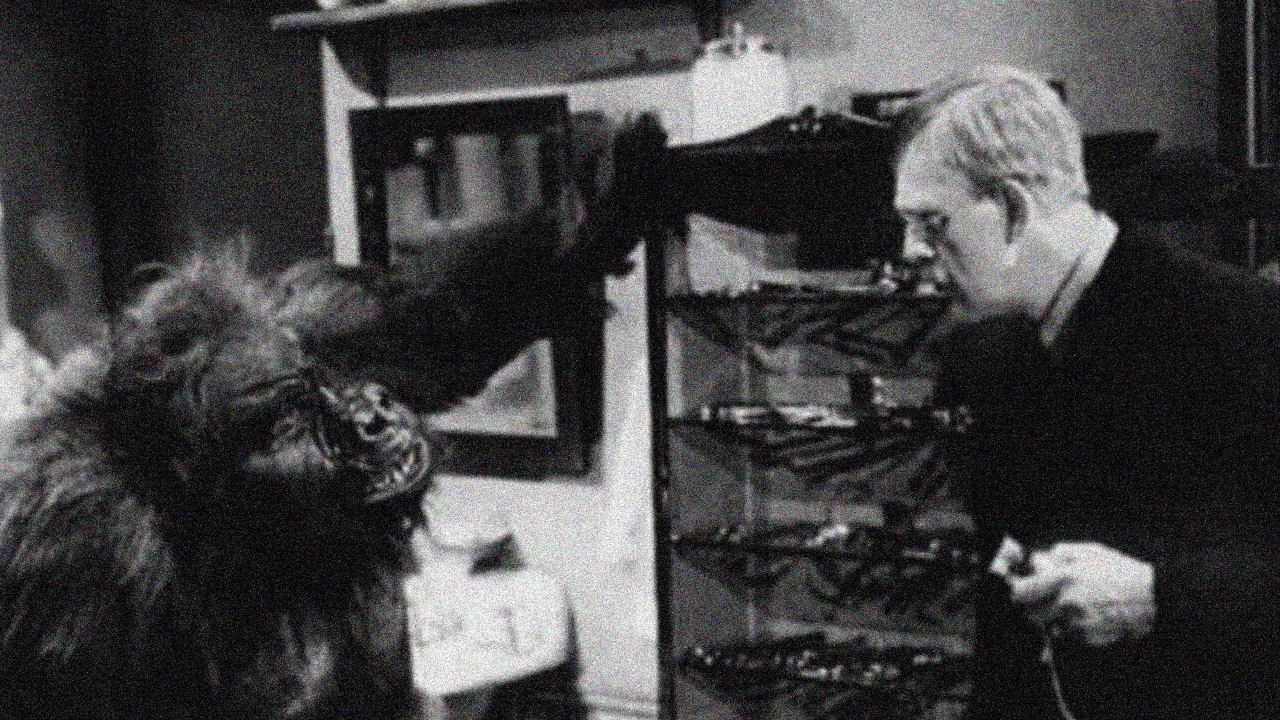 The Ape 1940 movie scene