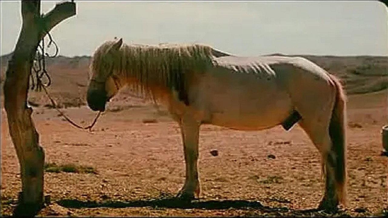 Season of the Horse 2005 movie scene