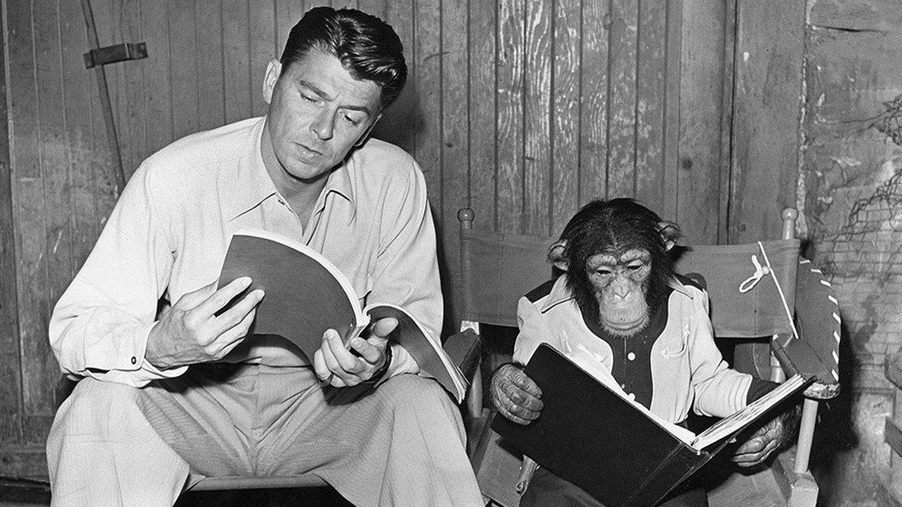 Bedtime for Bonzo 1951 movie scene