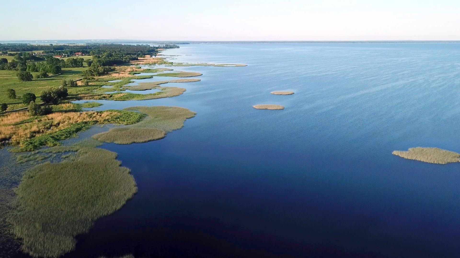 The Oder-Delta - A Wilderness without Borders 2019 movie scene