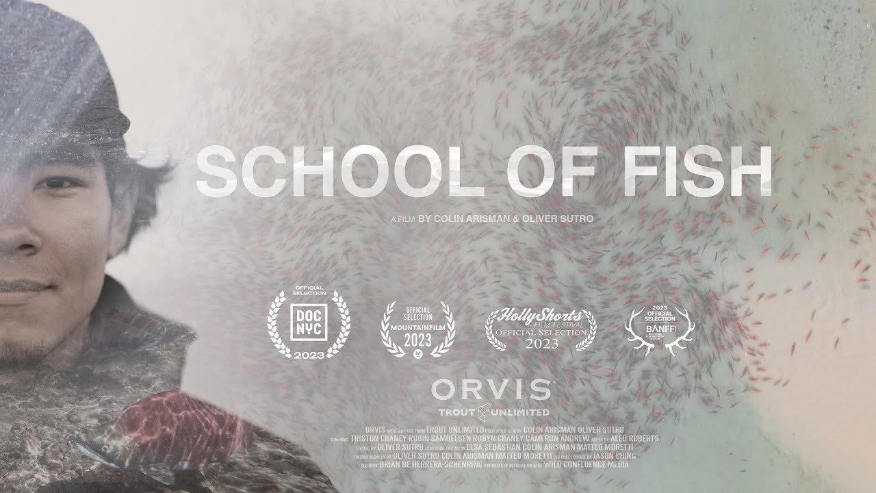 School of Fish 2023 movie scene