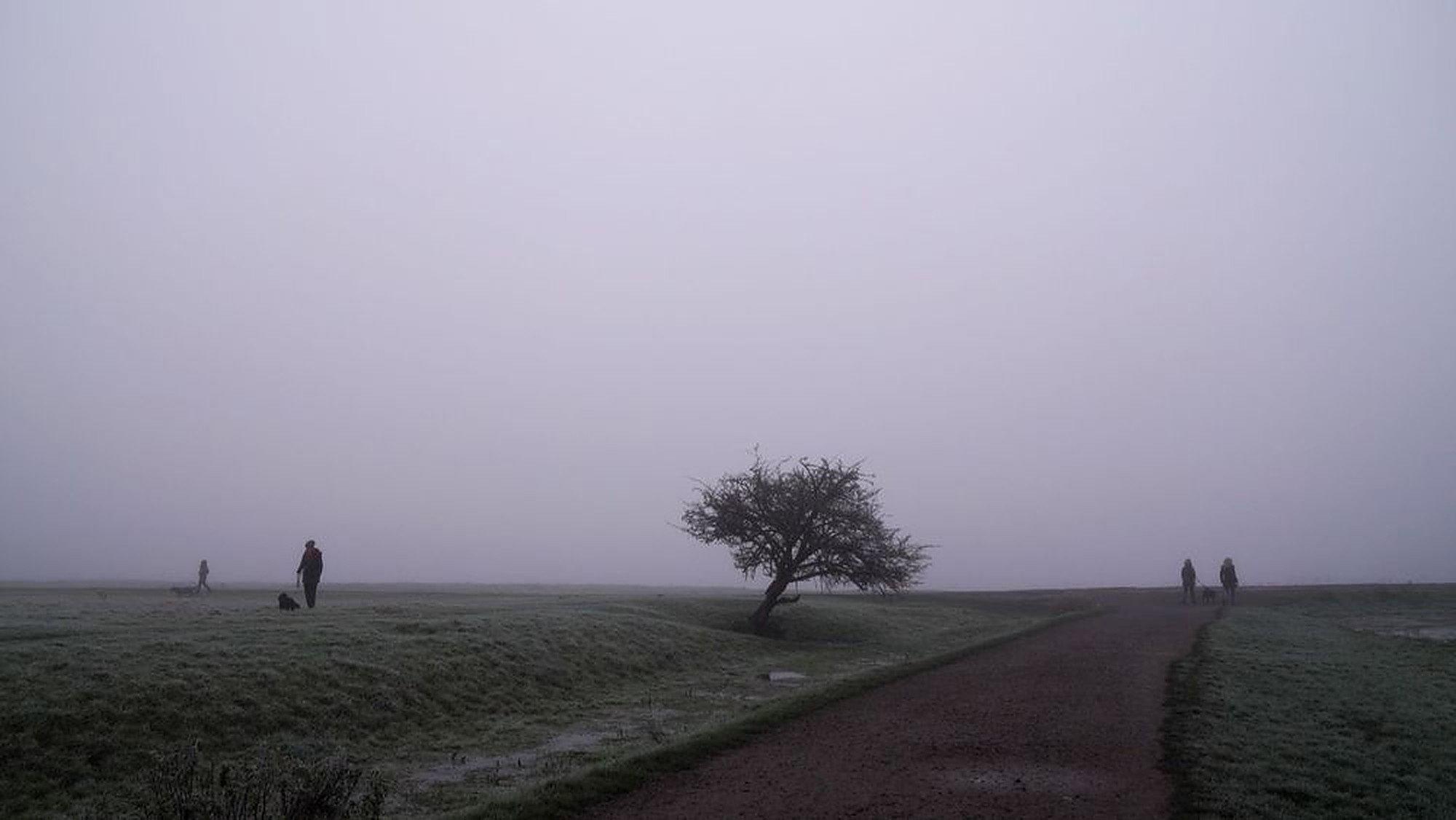 Port Meadow 2022 movie scene