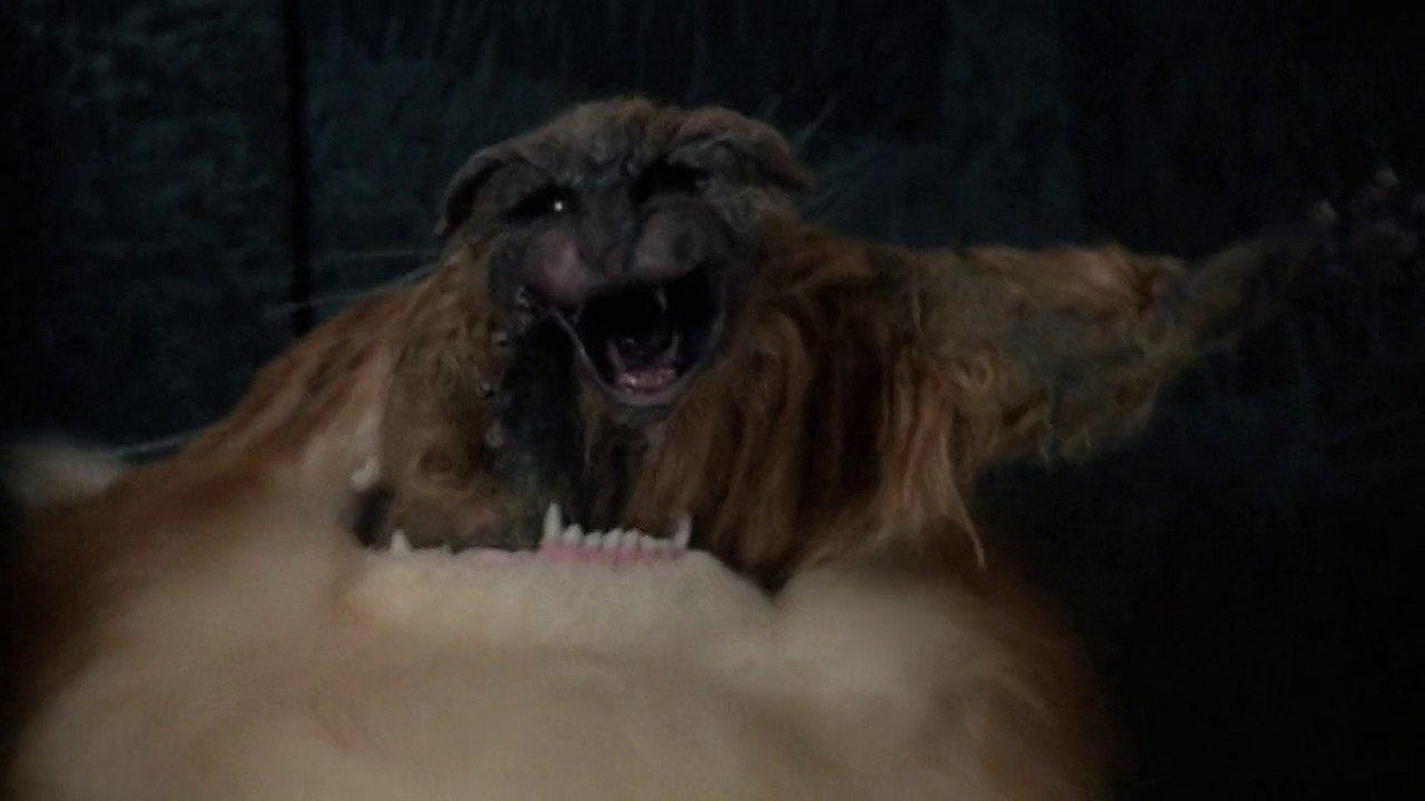 Uninvited 1988 movie scene