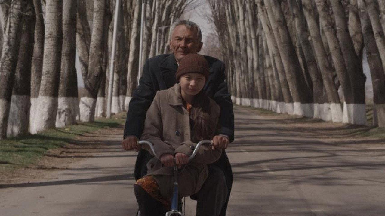 The Seagull 2012 movie scene