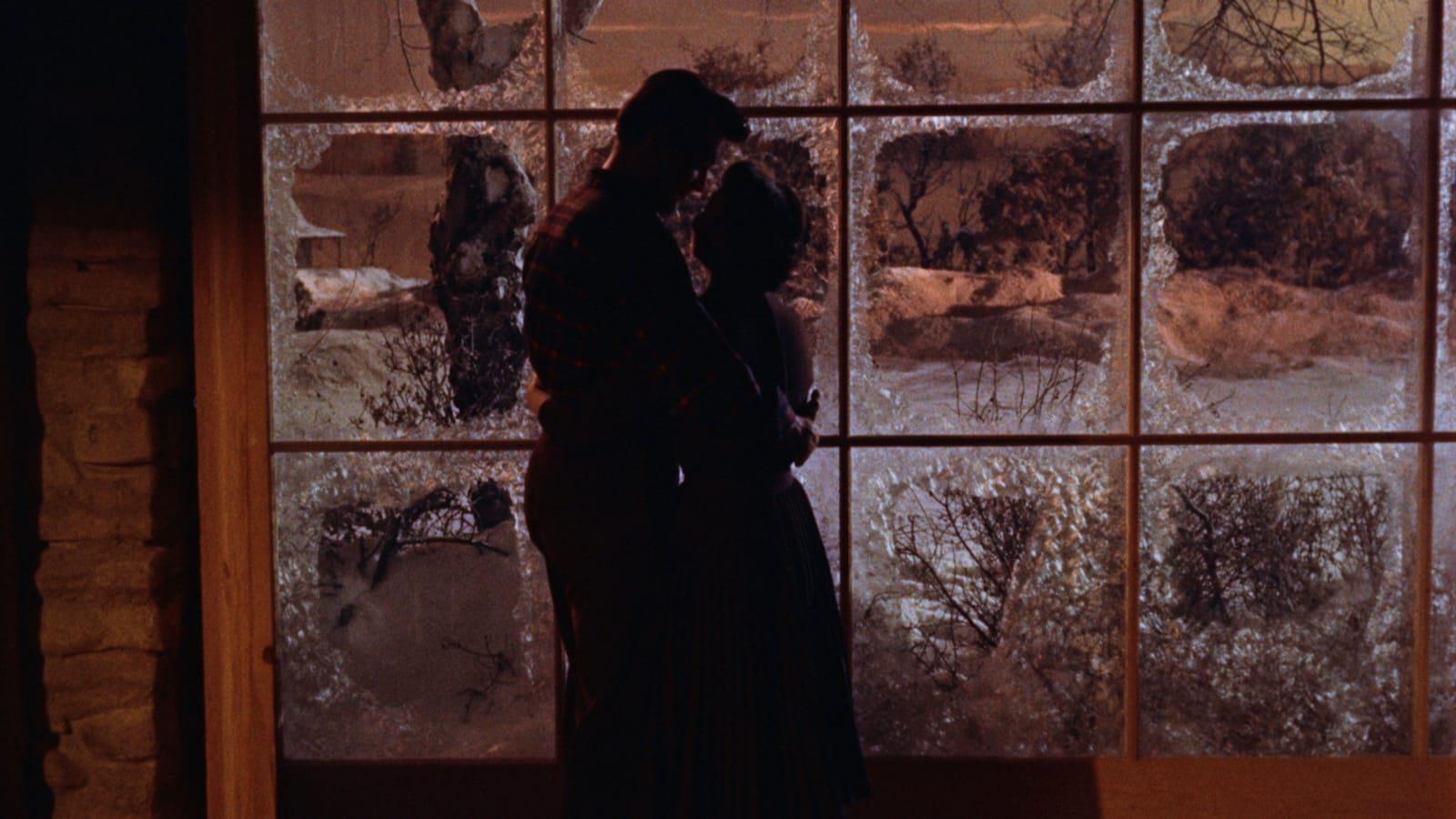 All That Heaven Allows 1955 movie scene