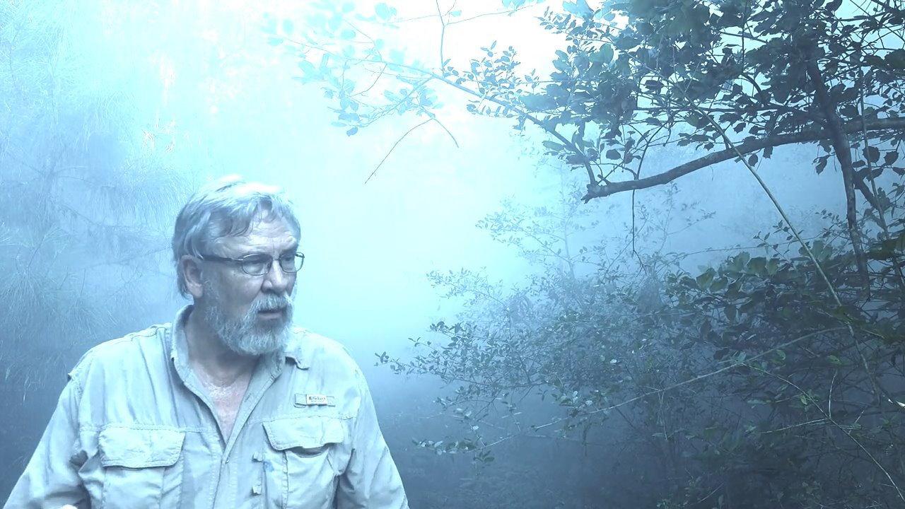 Alone with Bigfoot 2019 movie scene