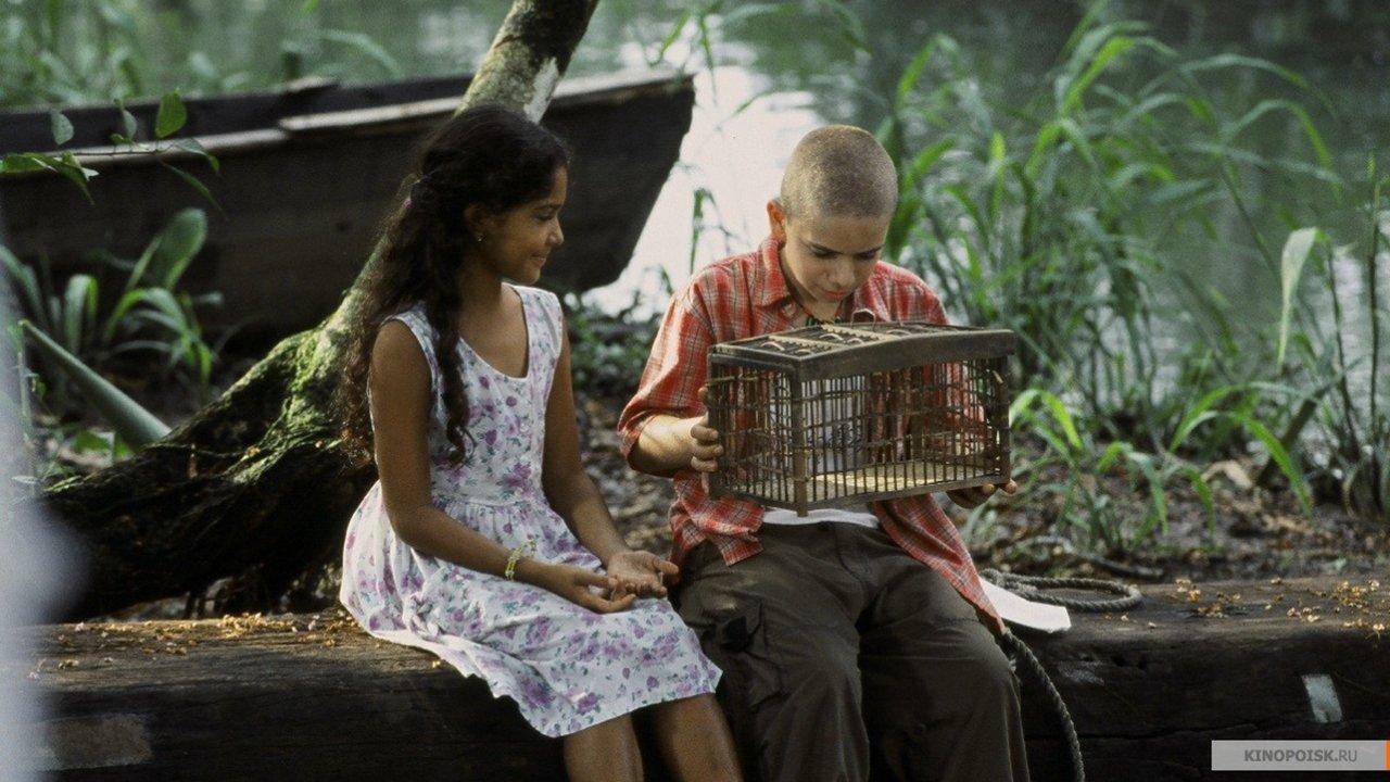 The Blue Butterfly 2004 movie scene