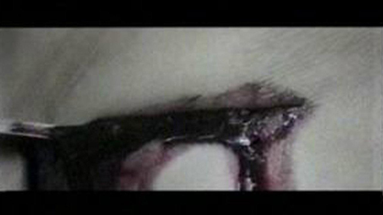 Bad Dreams 1995 movie scene