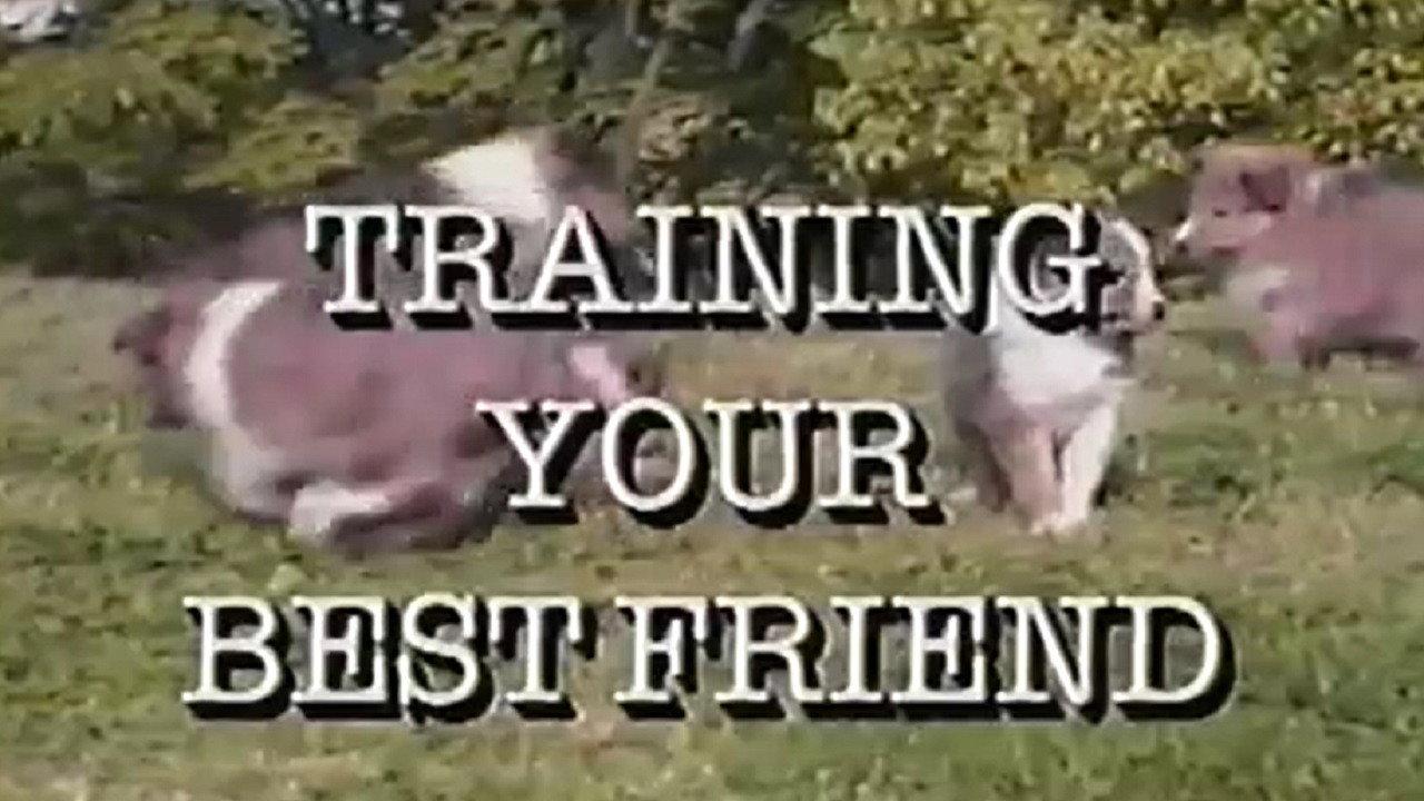Training Your Best Friend 1989 movie scene