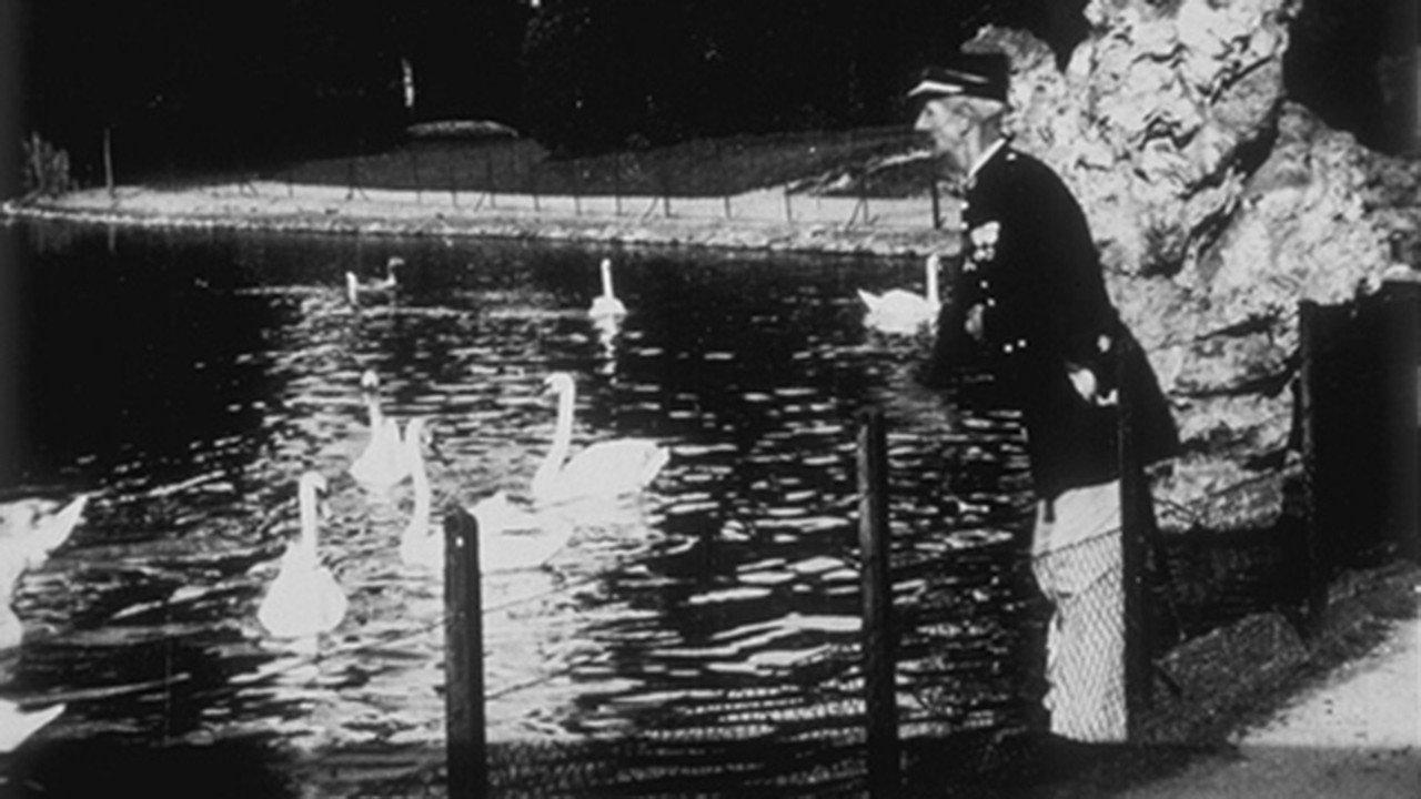 Swans 1896 movie scene