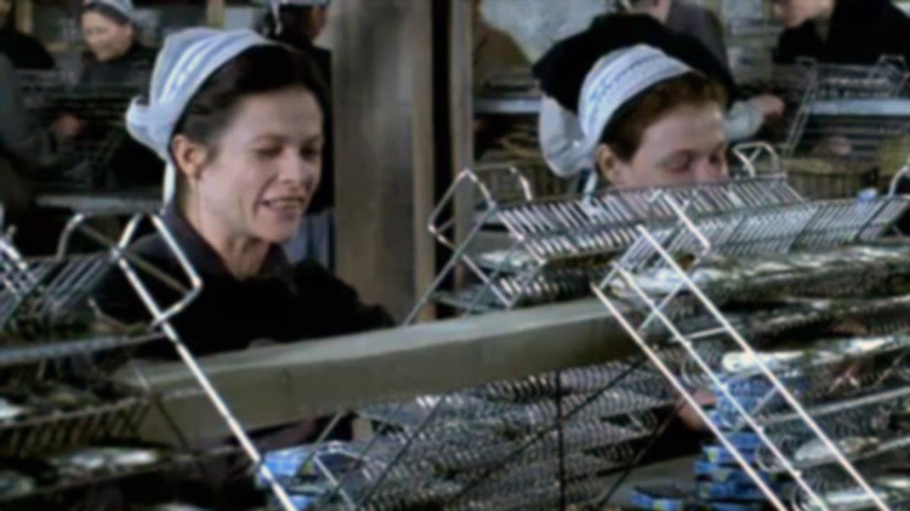 Penn sardines 2004 movie scene