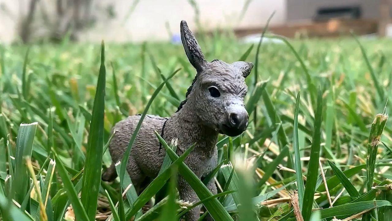 The Conversations of Donkey and Rabbit 2020 movie scene