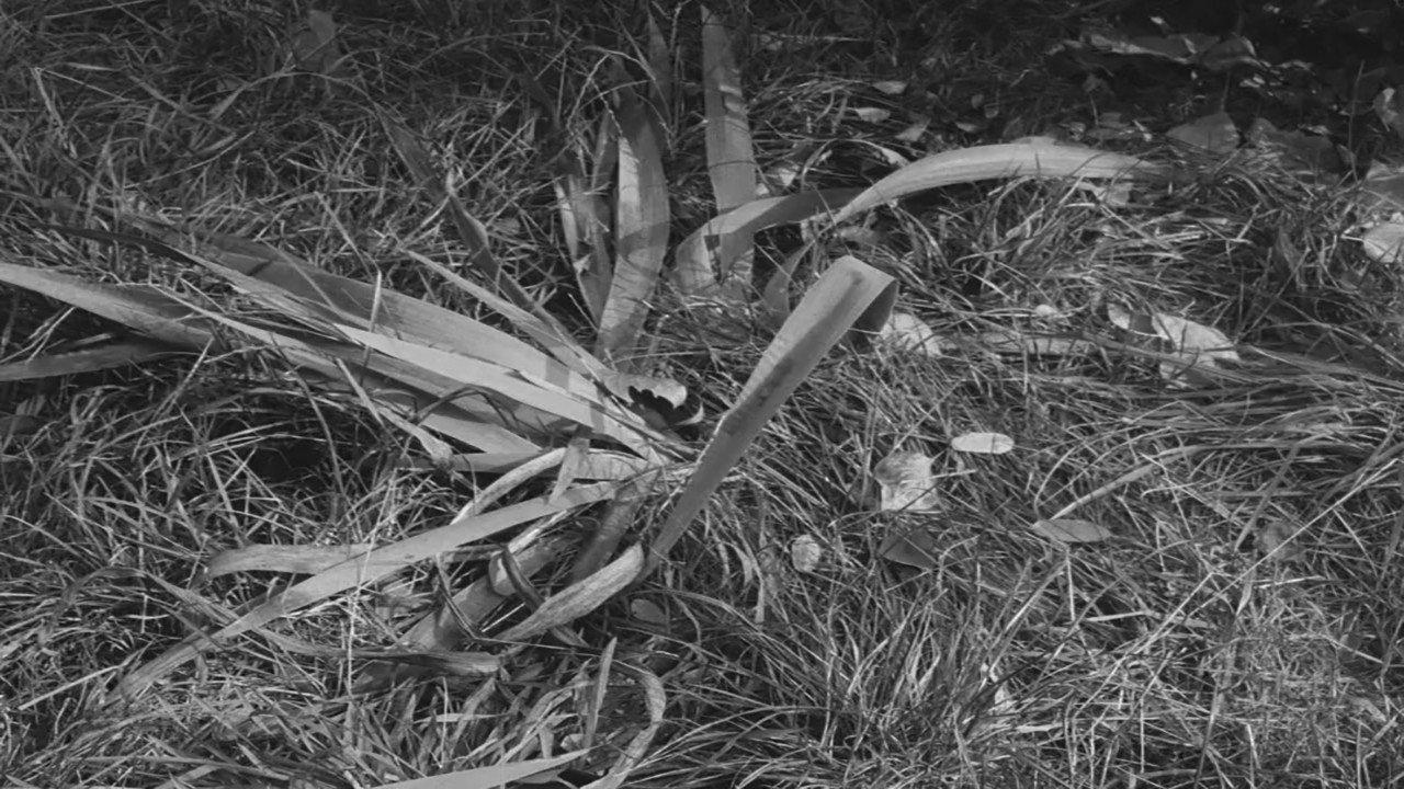 Our Dear Mr. Foerster Died 1963 movie scene