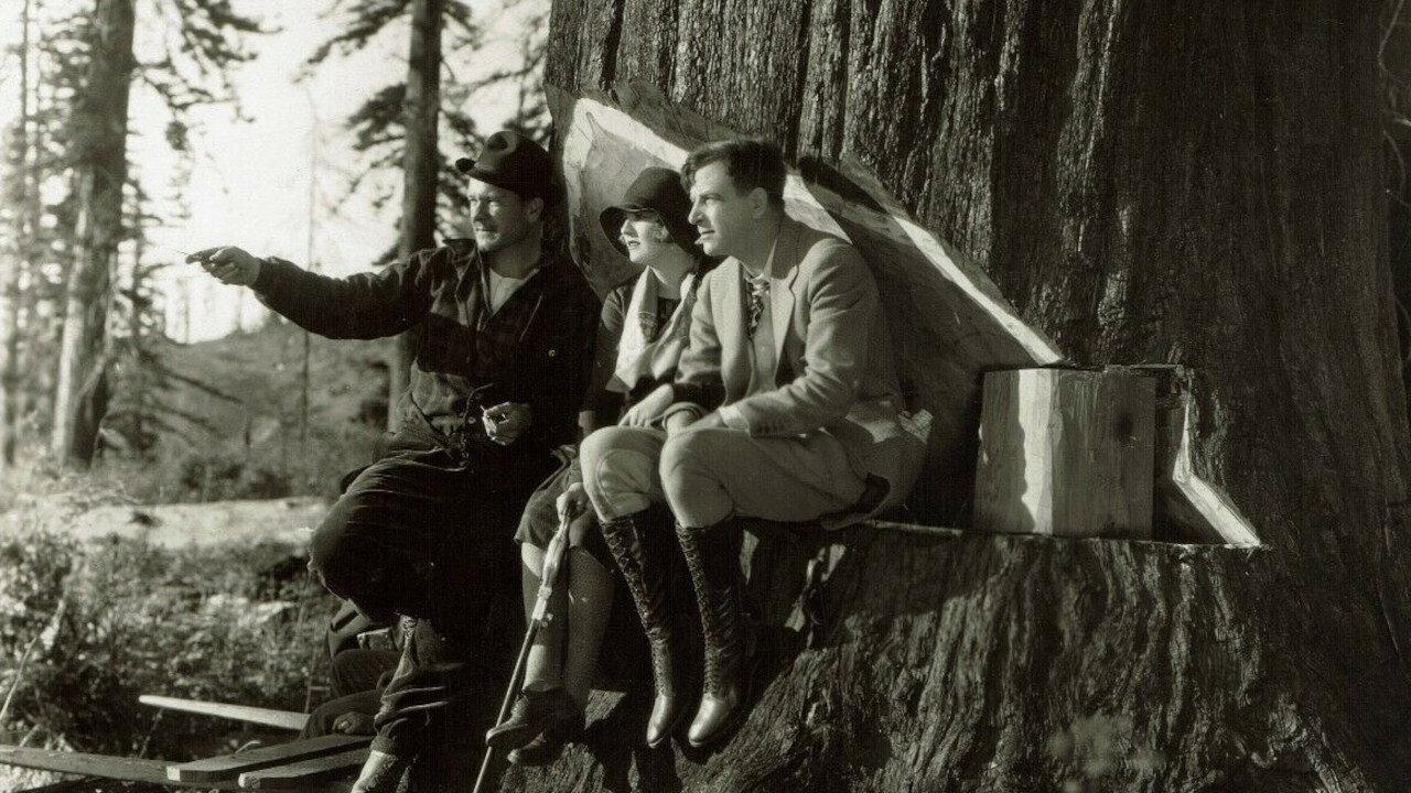 Burning Daylight 1928 movie scene