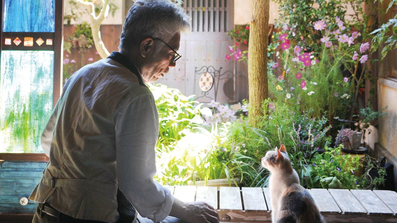 Teacher and Stray Cat 2015 movie scene