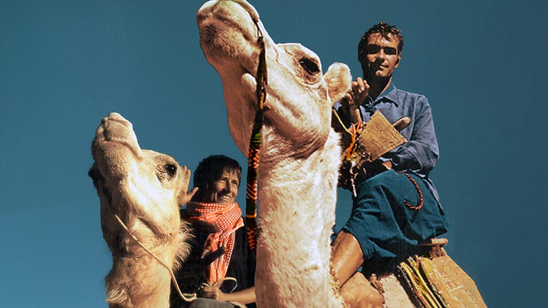 Nomad Meeting, The Path Of Odette And Jean-Louis Bernezat 2006 movie scene
