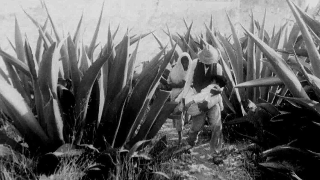Dispossession 1960 movie scene