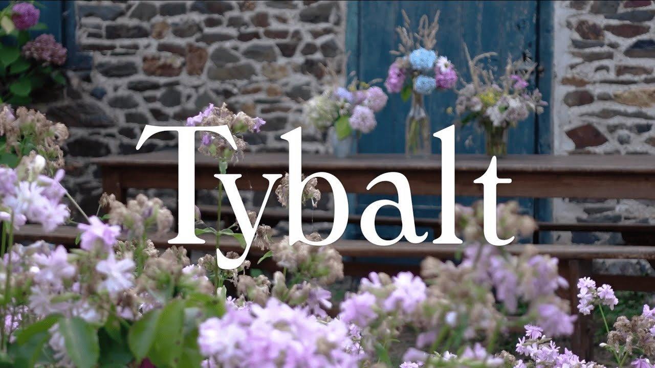 TYBALT 2024 movie scene