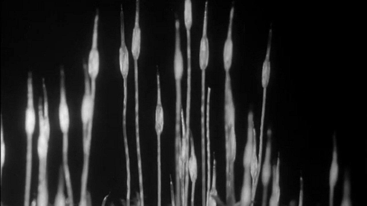 Gathering Moss 1933 movie scene