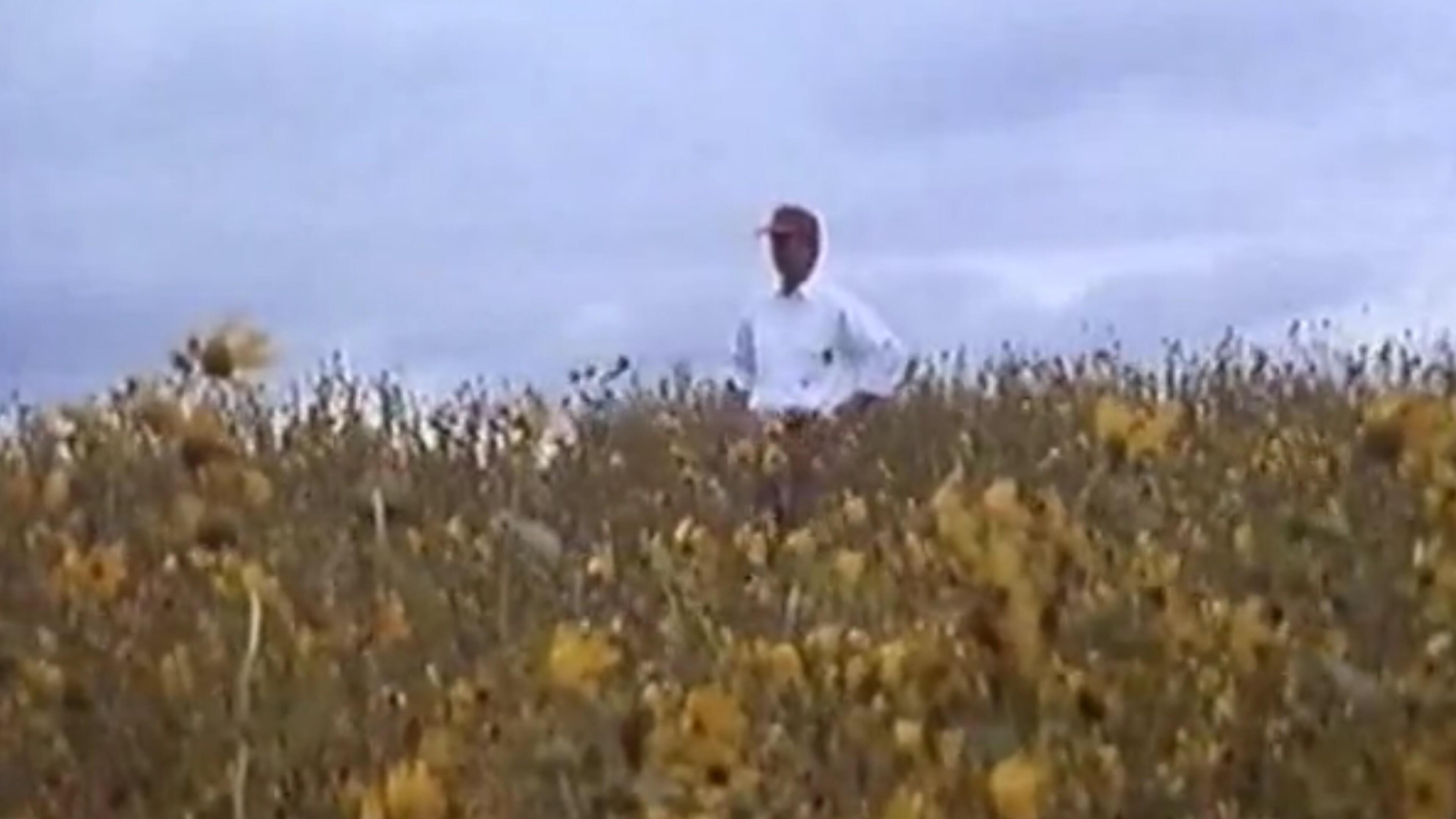 In Search of Oz 1994 movie scene