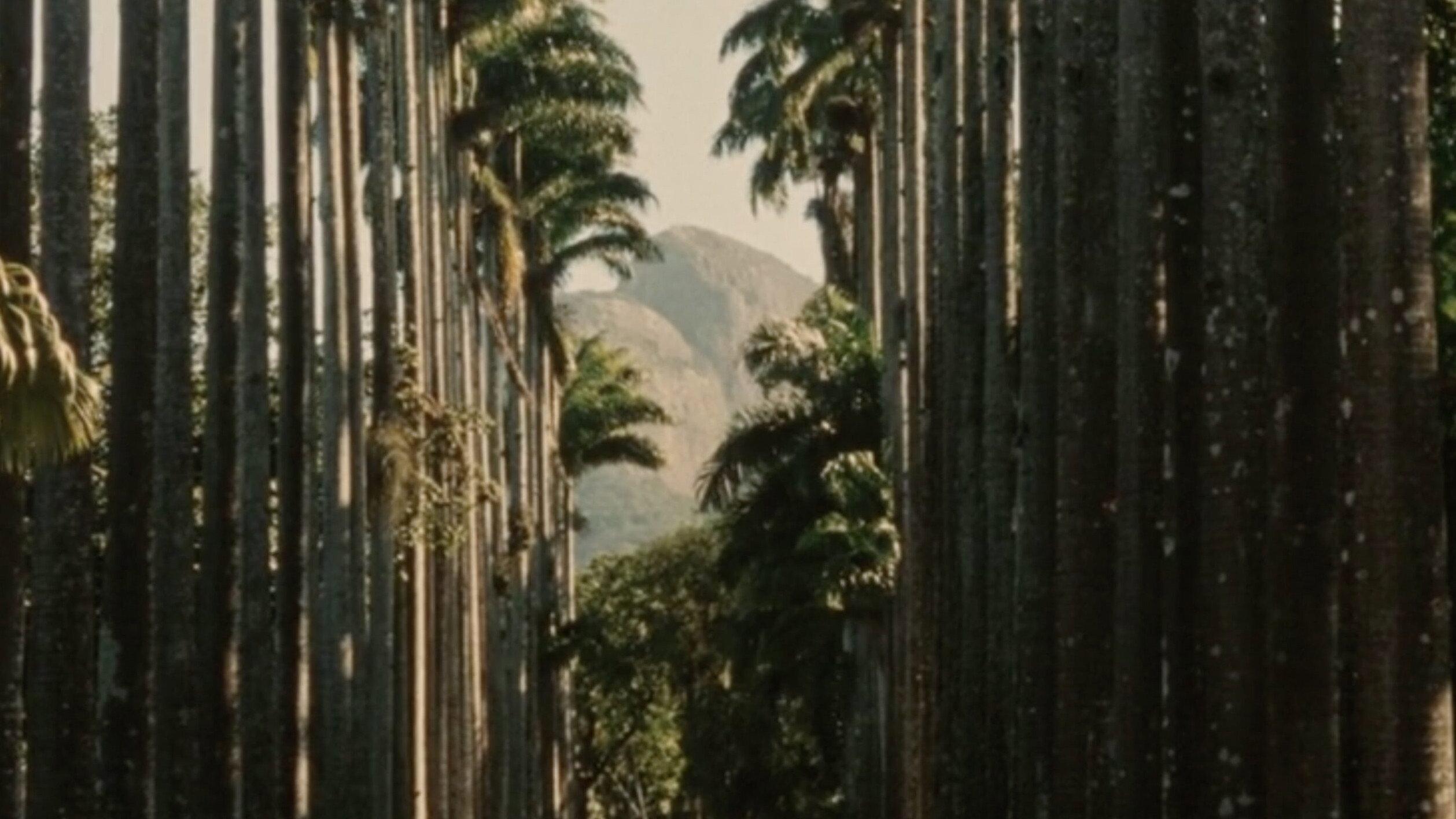 To Brasil 2023 movie scene