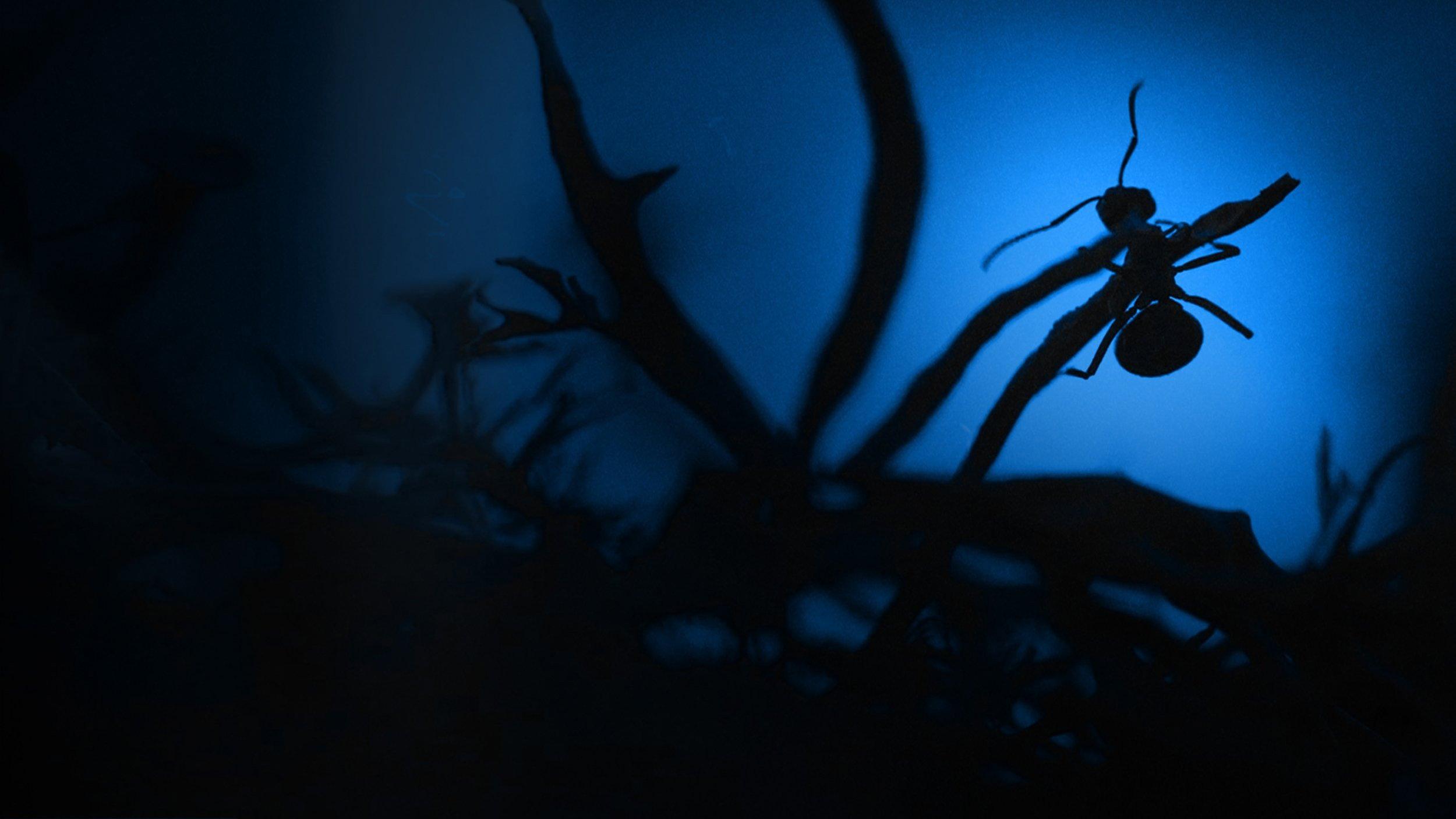 Le Royaume des fourmis 2022 movie scene