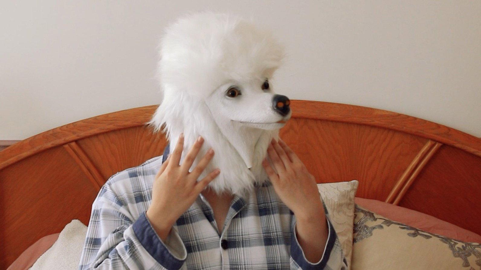 I Wish I Was A Dog 2025 movie scene
