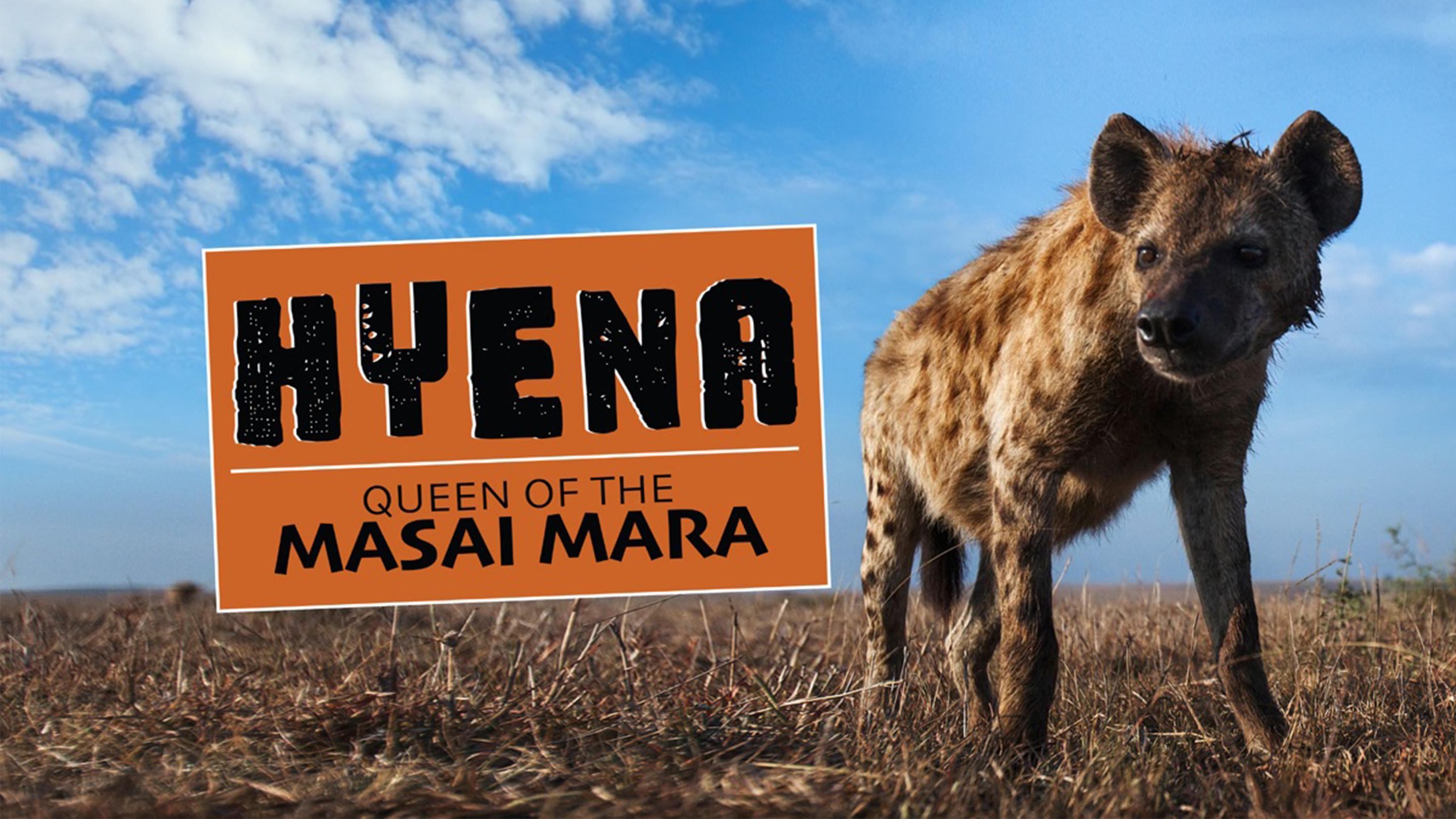 Hyena: Queen of the Masai Mara 2012 movie scene