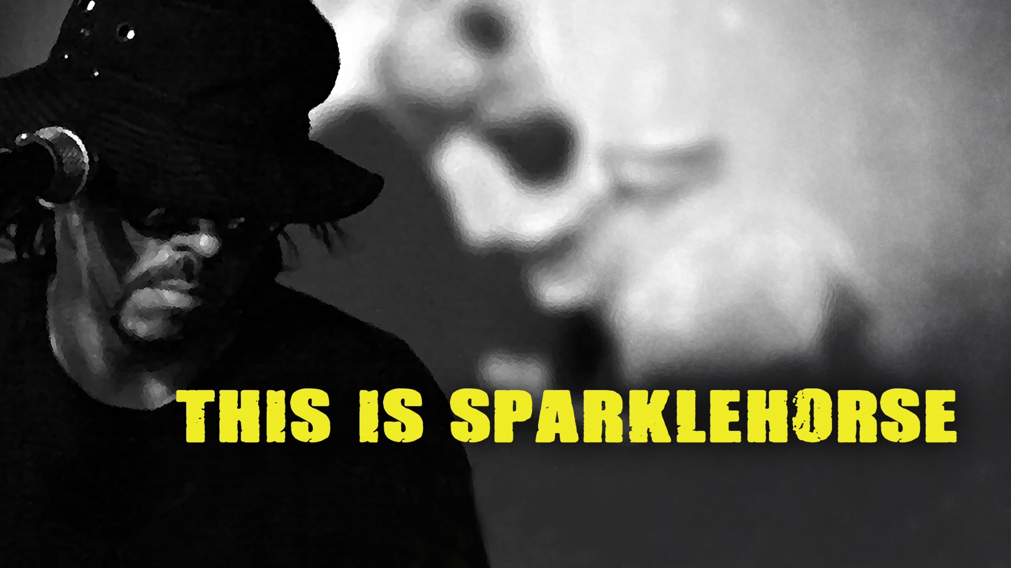 This Is Sparklehorse 2022 movie scene