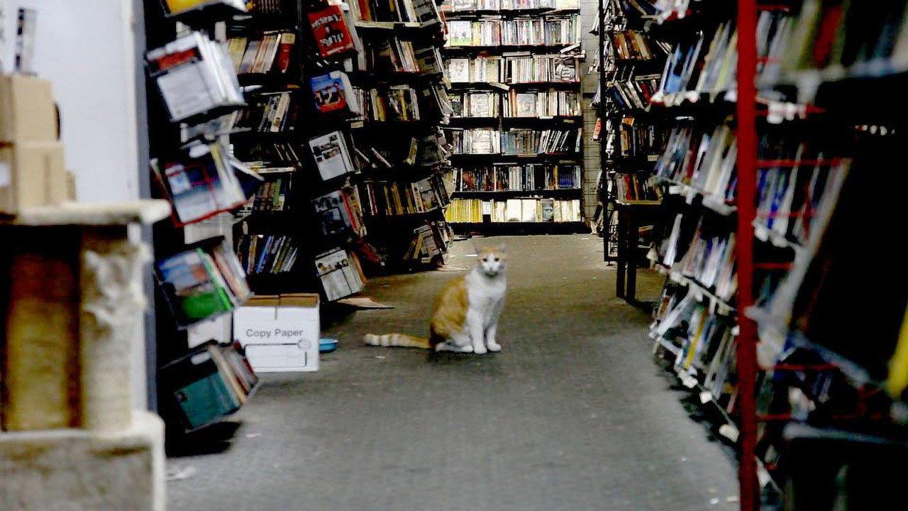 There Were Always Dogs, Never Kids 2012 movie scene